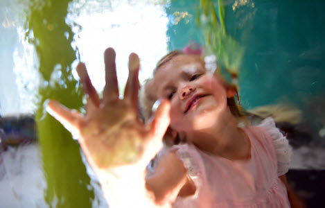 Young girl pressing hand up against the water wall in the Move With The River gallery.