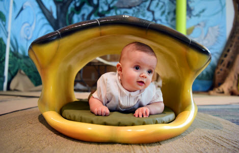 Baby crawling into the turtle in the Play With Me gallery.